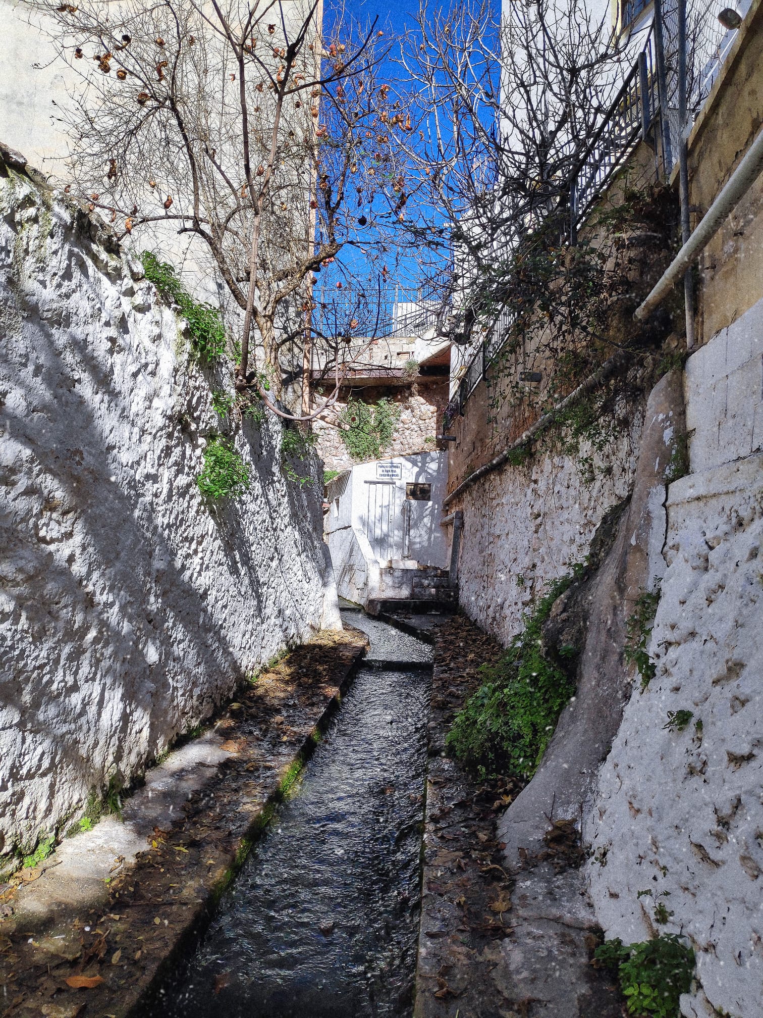 WhatsApp Image 2019-12-16 at 14.03.49